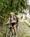 Ötzi Bike Cross Country Trail Week