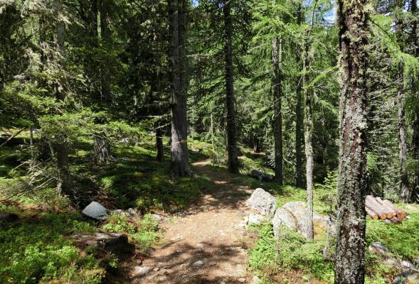 Giro delle malghe sulla Monta Tramonatana