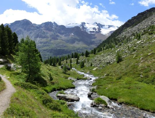 L´incontaminata Val Peder - una perla in Val Martello
