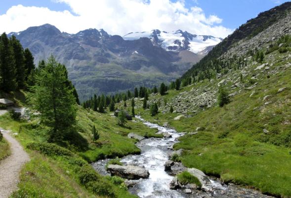 L´incontaminata Val Peder - una perla in Val Martello