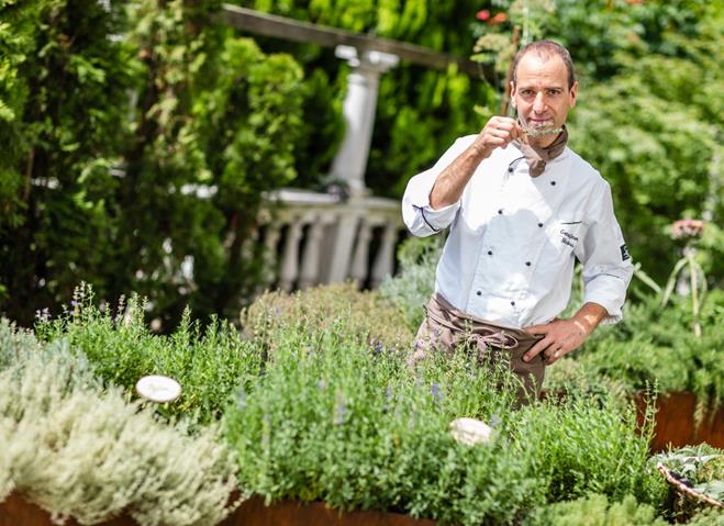 Markus tra le erbe aromatiche