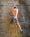 climb-2805903-1920