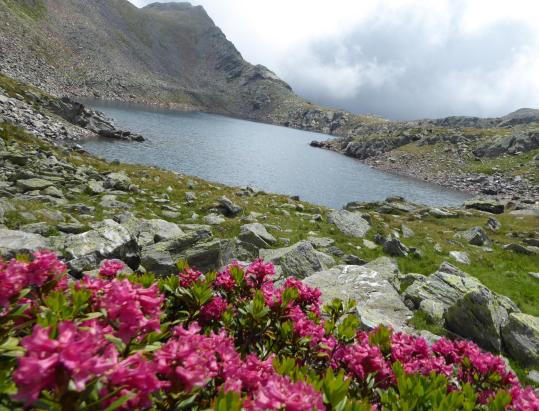 The Kofelraster Seen Lakes