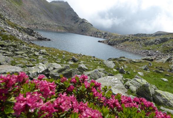 Protetti dal Gran Ladro - i laghi di covolo
