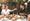Quattro persone fanno brunch nel cortile