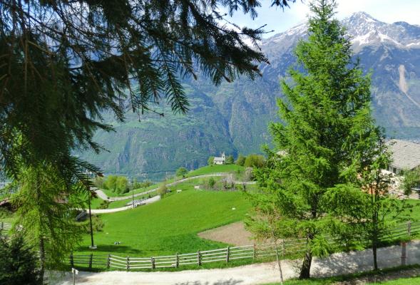 Über den Partscheilberg von Naturns nach Aschbach