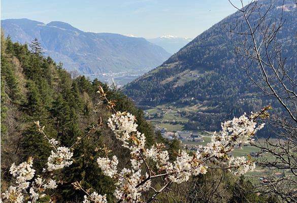 Frühling in Südtirol