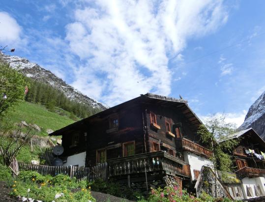 Val di Fosse: storie di marmotte, camosci e stambecchi