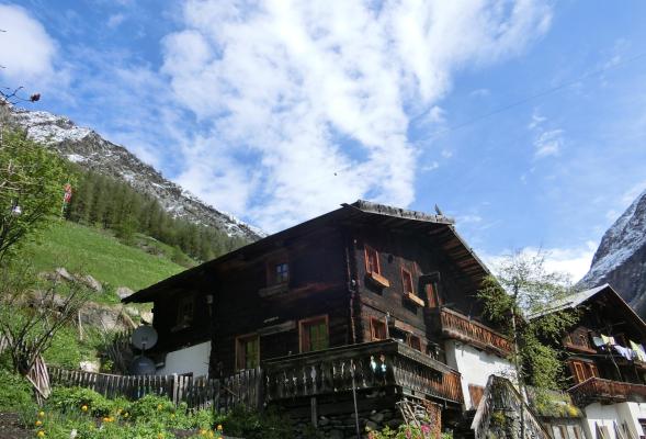 Val di Fosse: storie di marmotte, camosci e stambecchi