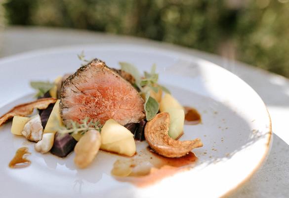 Main Course with Meat