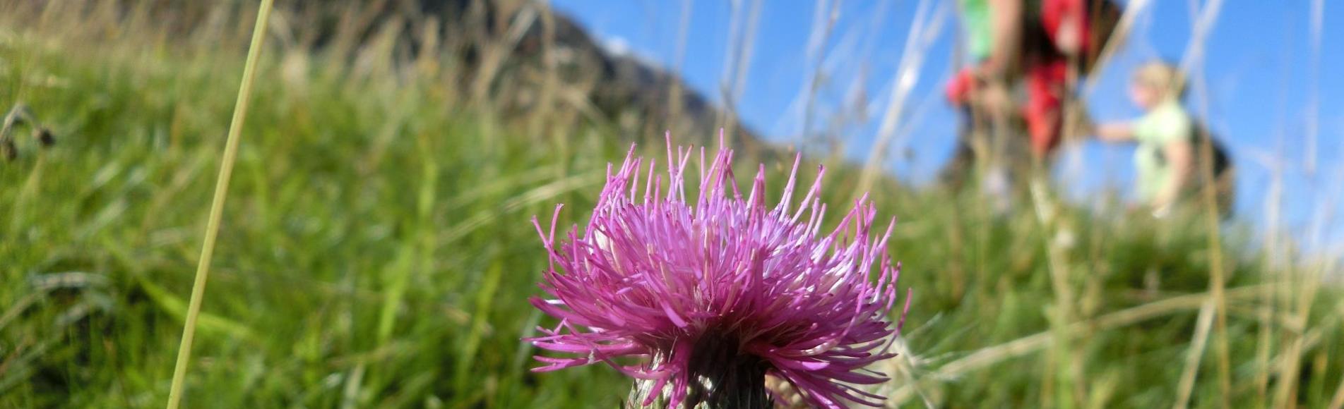 Escursione alla malga Morterer
