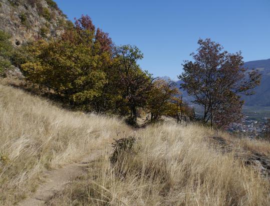 The Wallburgboden: an ancient place of power