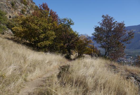 Kult- und Kraftplatz Wallburgboden