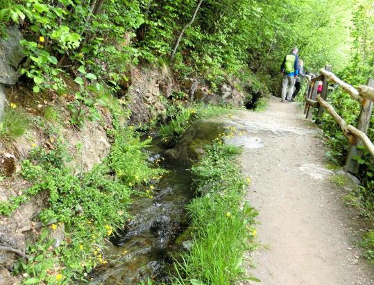 On the Brandis Irrigation Channel Path
