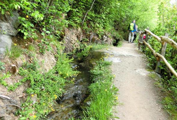 Brandis Waalweg - von Ober- nach Niederlana