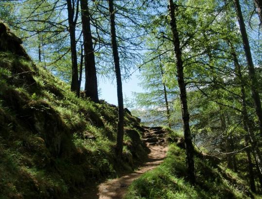 From the Church to Unterstell