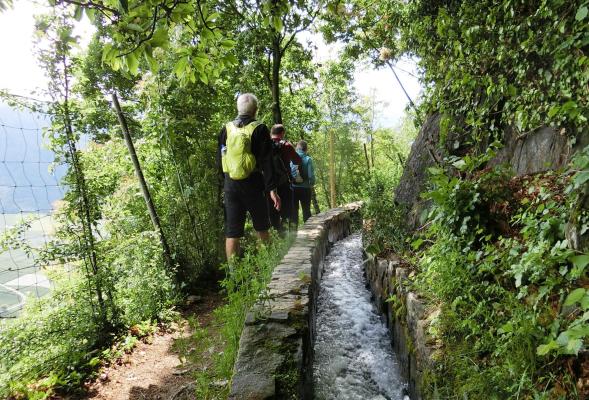 Sentiero della roggia Ilswaal e Zaalwaal sul Monte Sole di Silandro