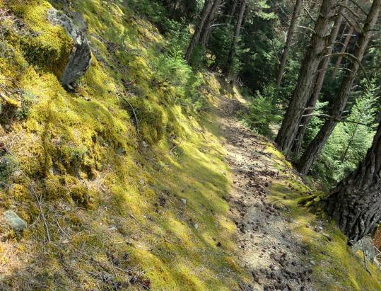 Naturlehrpfad Gsindboden