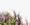 20170907-details-webversion-schulerhof-emi-4240
