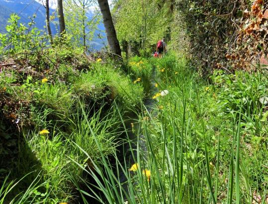 Sentiero della roggia di Rifiano - da Caines al santuario