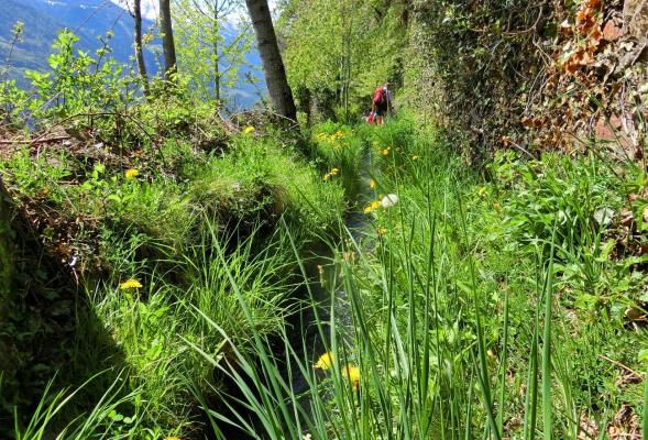 Sentiero della roggia di Rifiano - da Caines al santuario