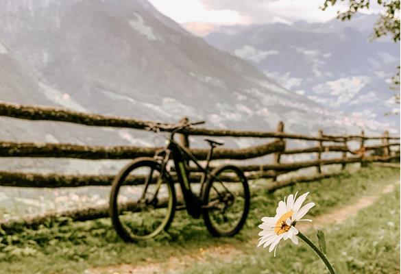 In bici in primavera