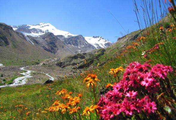 Sulle tracce del fronte del Ortles a Hintermartell