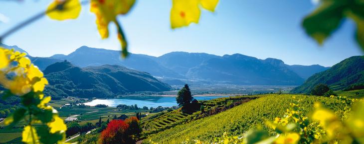Weinland Südtirol
