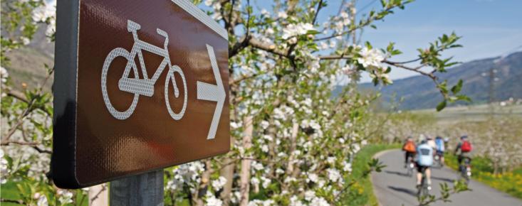 Biken in Naturns