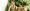 044-familie-schuler-august-2018-emi-5596