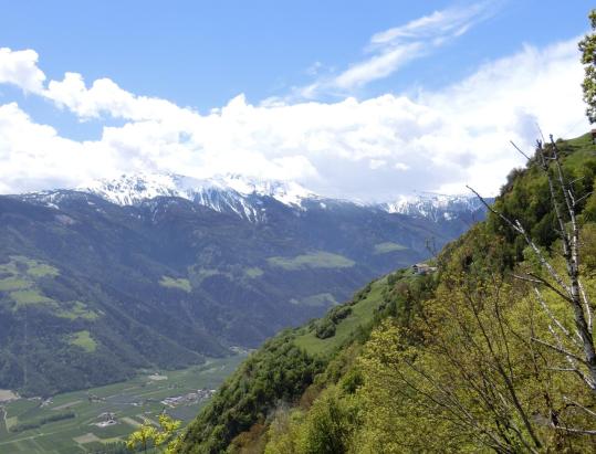 Höfewanderung am Fuchsberg