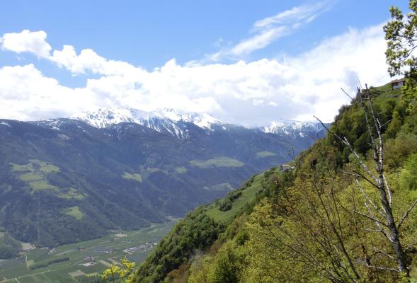Escursione dei masi sul Monte Volpe