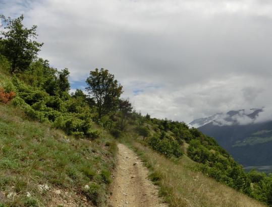 San Martino al Monte con vista sulle Dolomiti