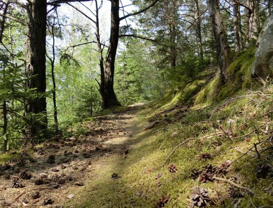 Von Rittern und Fröschen - über den Rittersteig nach Plaus
