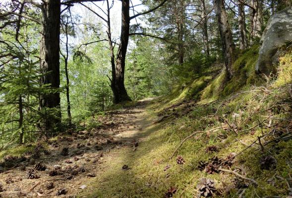 Von Rittern und Fröschen - über den Rittersteig nach Plaus