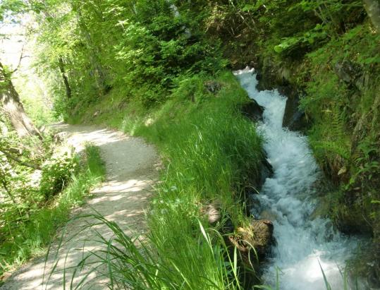 Schenner Waalweg - von der Masulschlucht ins Naiftal