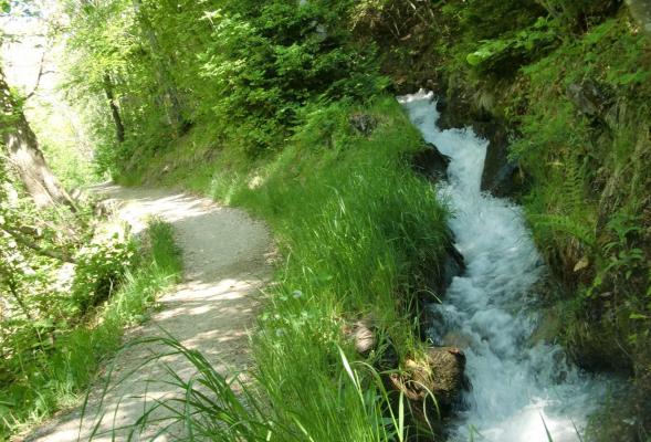 Schenner Waalweg - von der Masulschlucht ins Naiftal