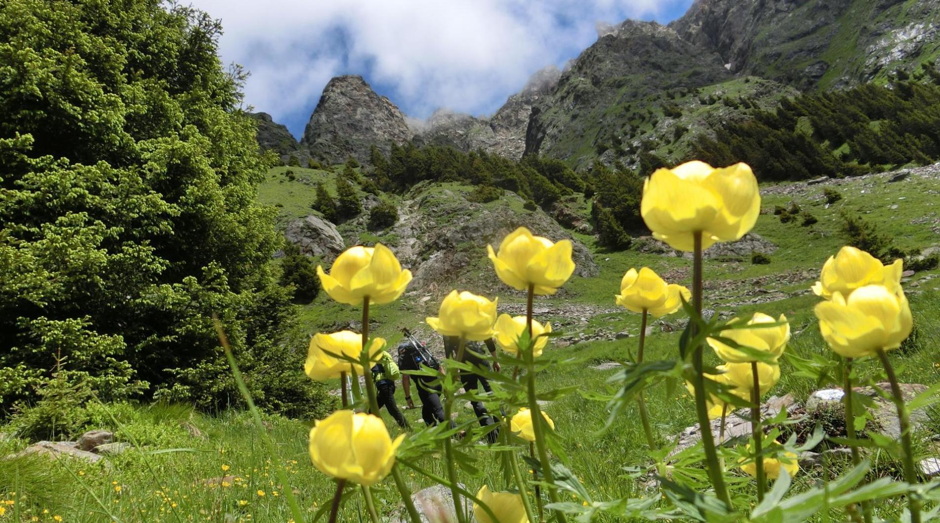 Escursione in primavera
