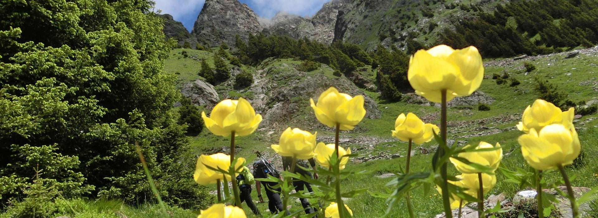 Wandern im Frühling
