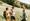 20200826-wandern-webversion-schulerhof-305a5794