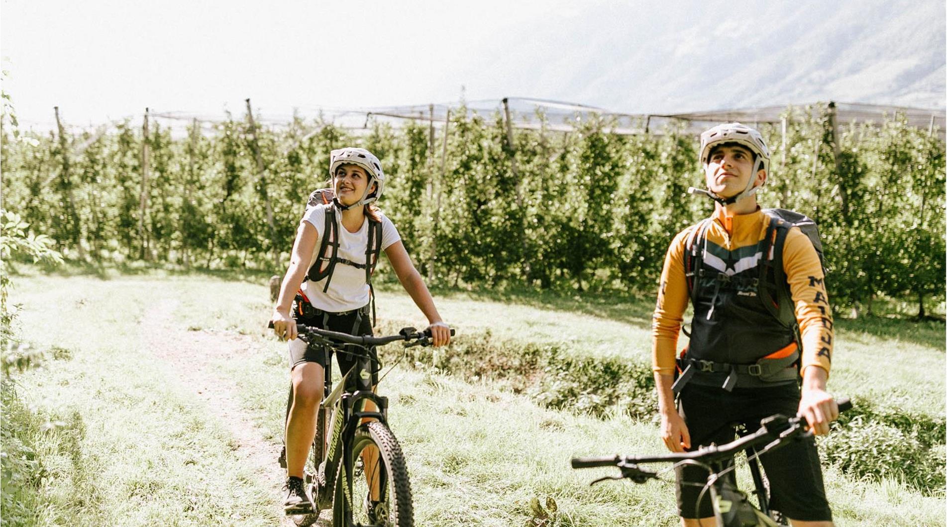 Leisure biking in the orchards