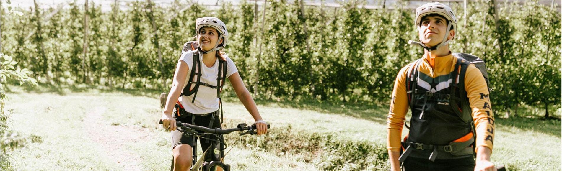 Genussradeln in den Apfelhainen