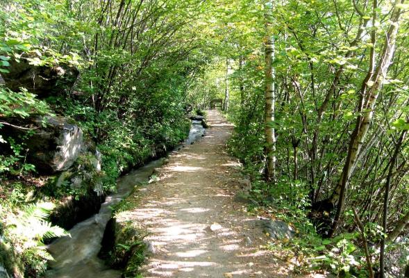 Sentiero della roggia di Maia - da Saltusio a Maia Alta