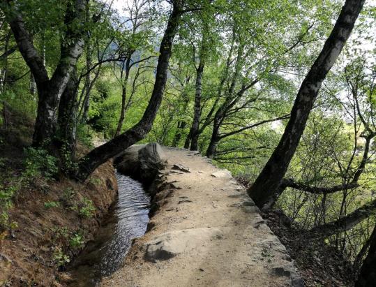 Marlinger Waalweg - der längste Waal in Südtirol
