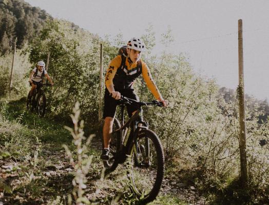 Biking in South Tyrol