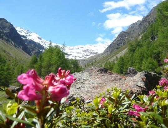 Paesaggi da cartolina: la Val di Mastaun