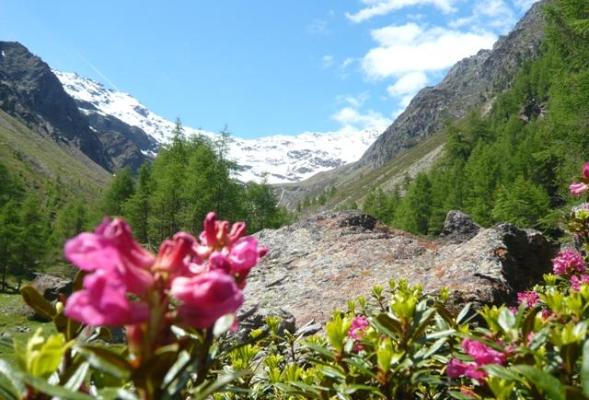 Paesaggi da cartolina: la Val di Mastaun