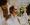 103-schulerhof-lisa-valentin-emi-massmer-emotions-webversion-305a1129