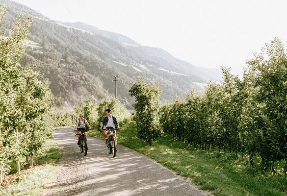 E-Bike Days in Spring