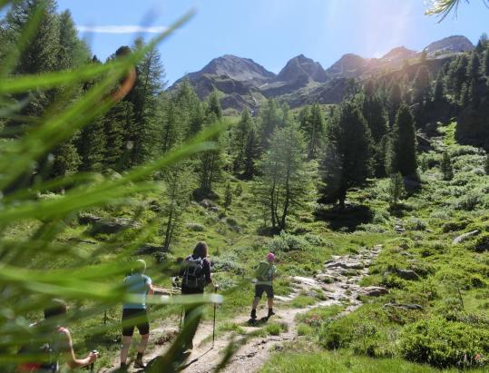 The Glacier Path in the Martelltal Valley